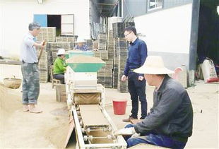 安庆日报推广工厂化育秧软件 助力农业现代化转型