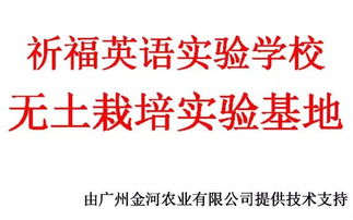 校企携手，共绘软件技术教育新篇章