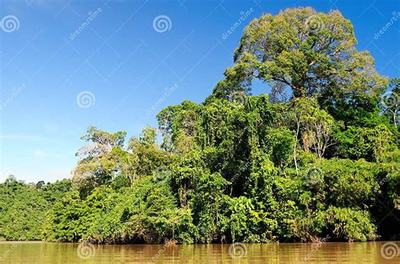 《斗仙界》0.1折手游新体验 爽快世界，代理开发新机遇